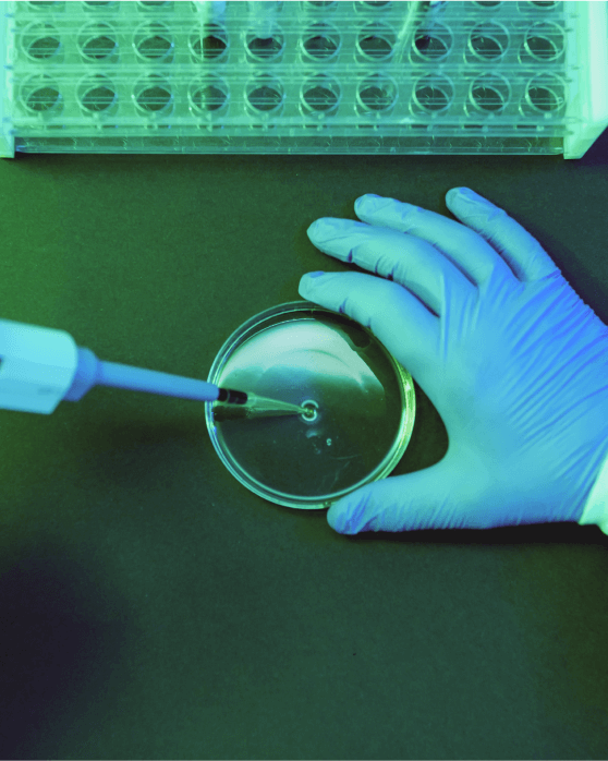 Scientist inoculating a petri dish